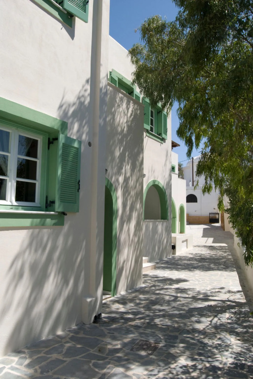 Naxos olive & home