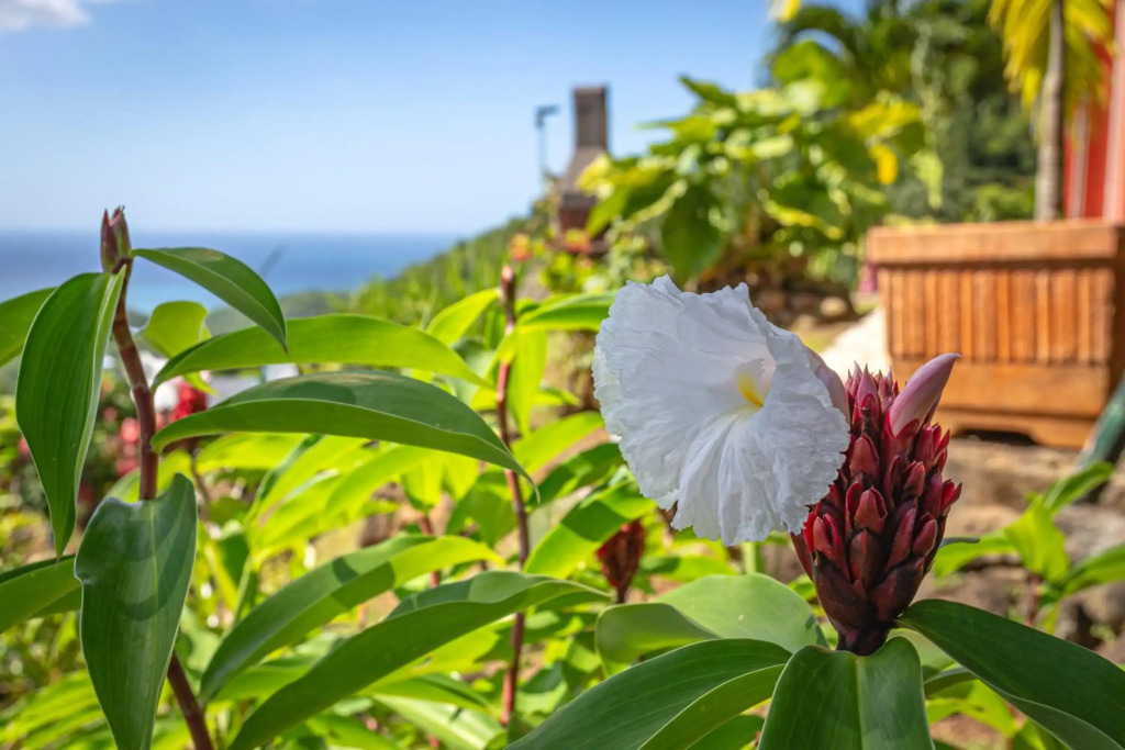 Villa douillette à Deshaies - Vue sur la mer et la montagne - 96 m²