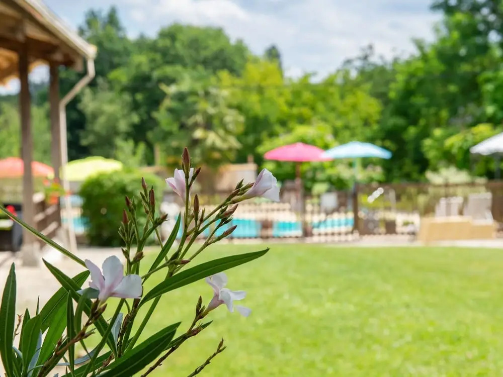 Secluded Holiday Home in Lacapelle-biron With Swimming Pool