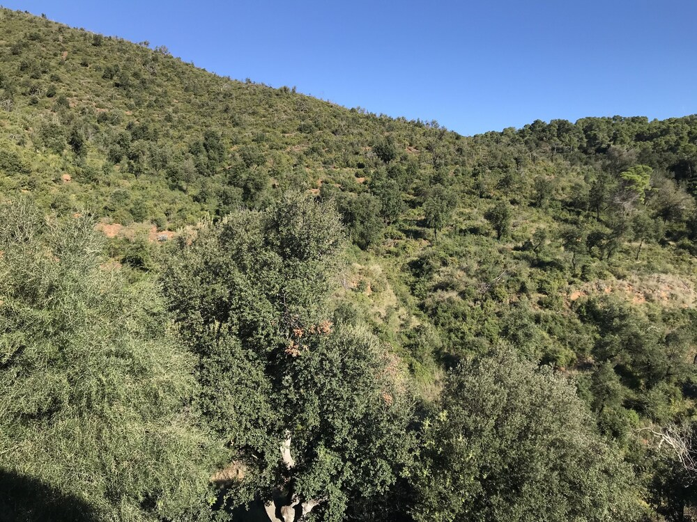 Finca Bell-Lloc