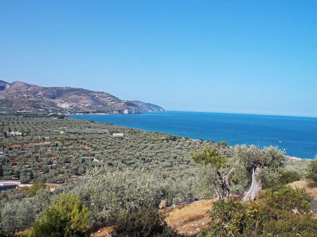 Case Vacanze L'Uliveto