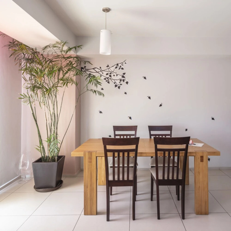 Beautiful Apartment in Roma Norte.