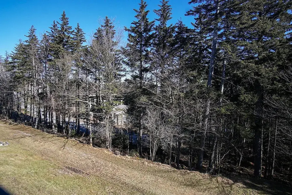 Whistlepunk 20 Wilderness Hideaway, Slope Side, Spacious 2 Br Condo