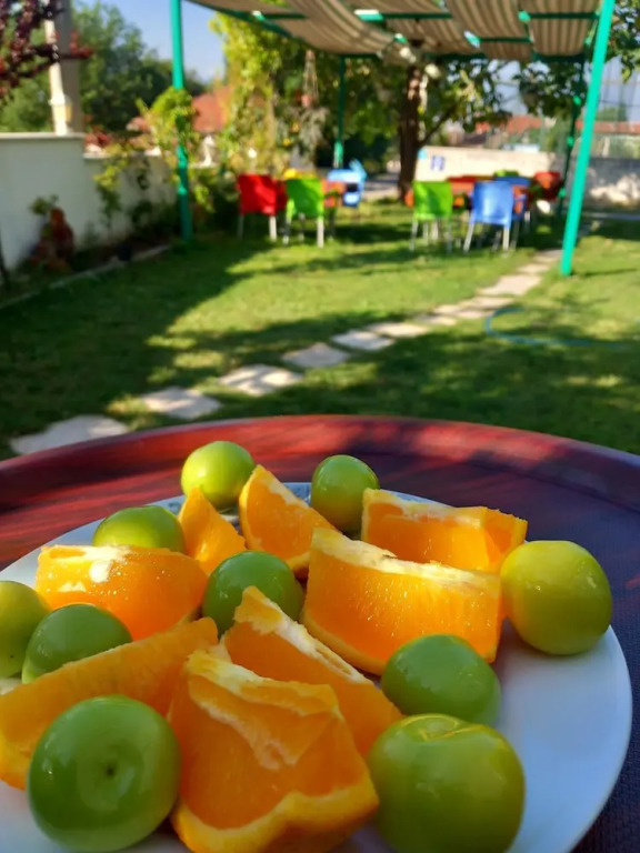 Paradise House