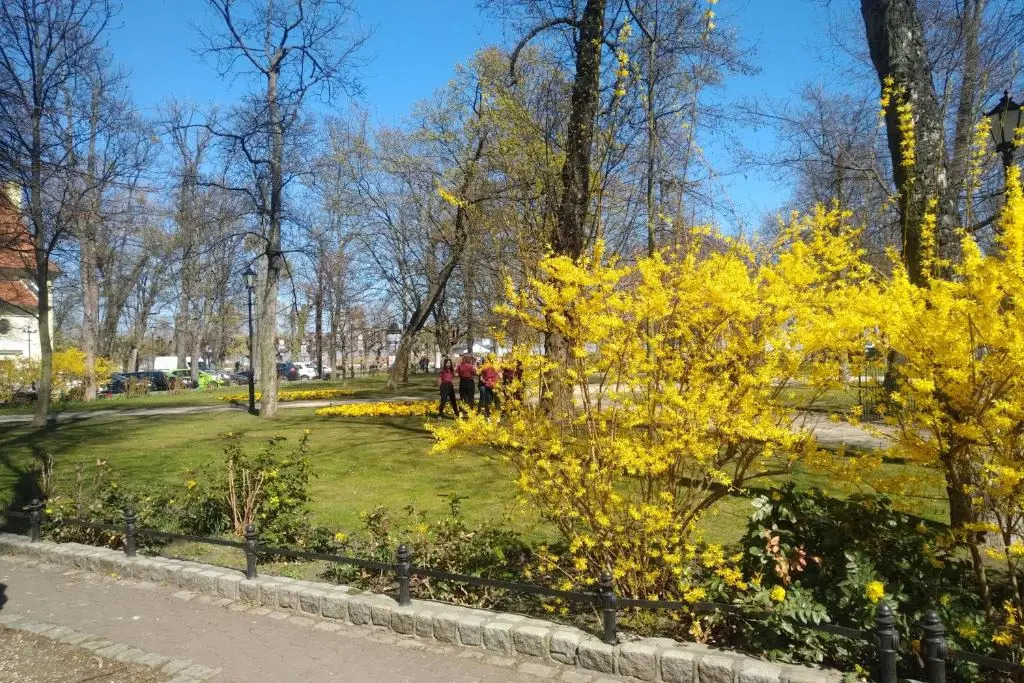 2Sopot, Studio Błękitny Wieloryb przy plaży, molo, idealny dla podróżników