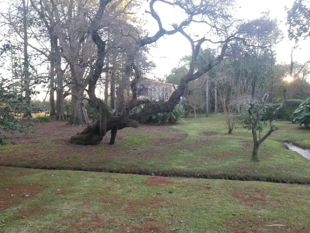 Villa Ocampo