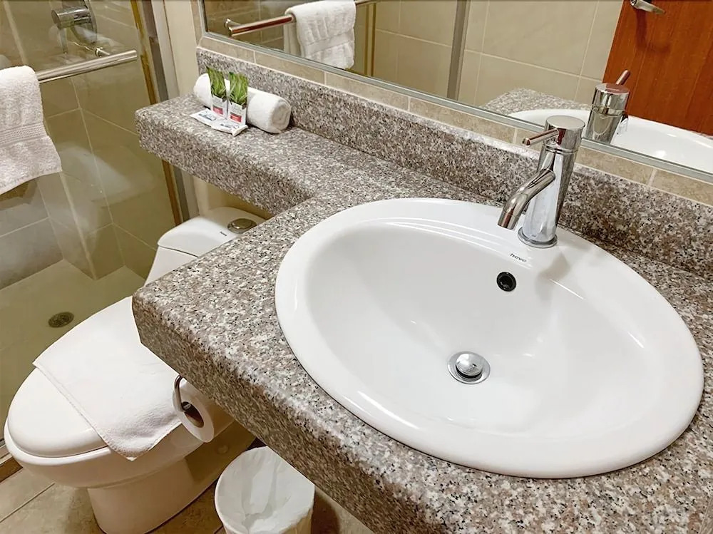 Hotel Palmira Inn