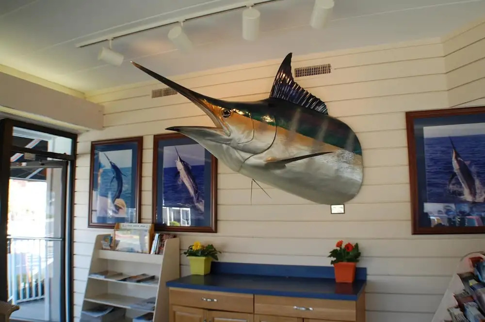 The Spinnaker Hotel