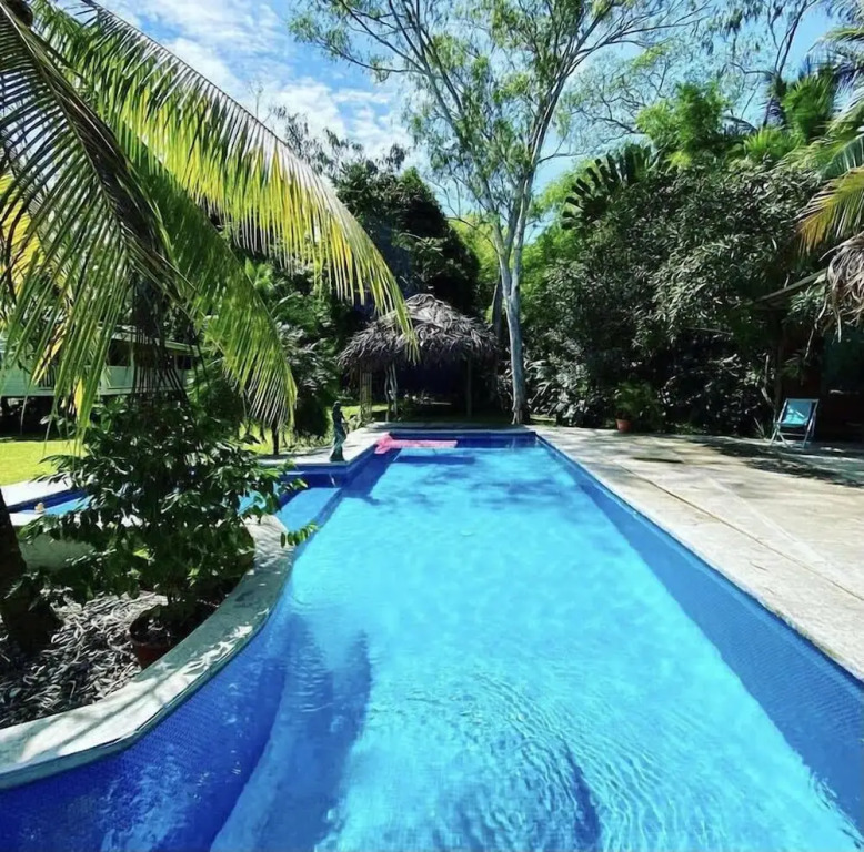 Sand Dollar Beach Bed & Breakfast