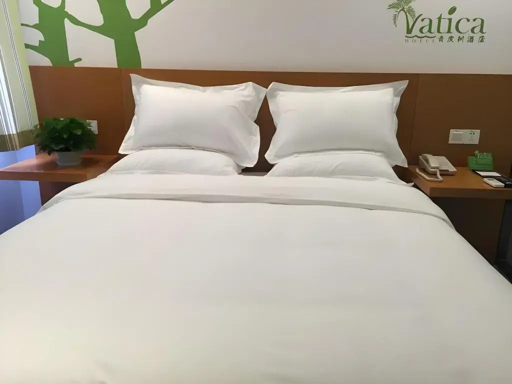 Vatica Langfang Wanda High-speed Railway Station Jianguo Road Hotel