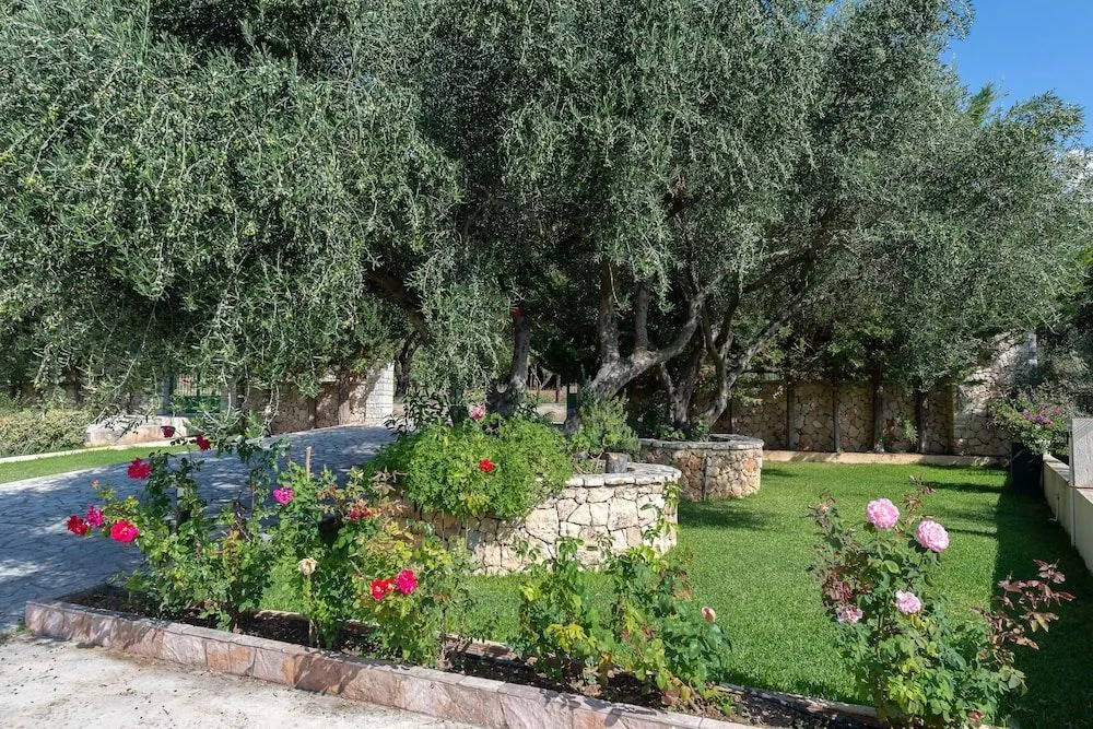 Vista Verde Studios