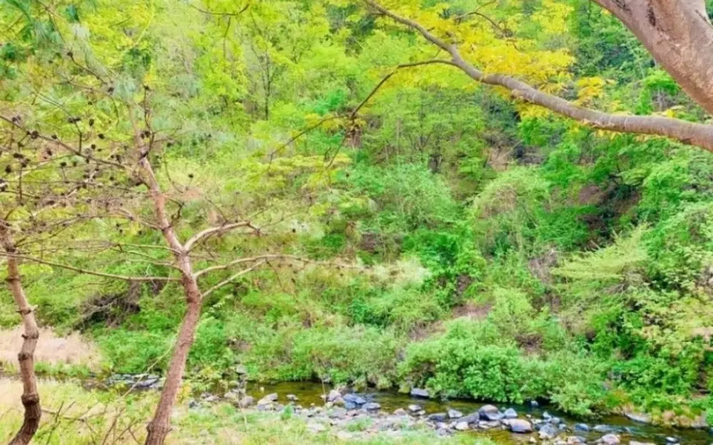 Hongcheon Gaon Resort Village Glamping