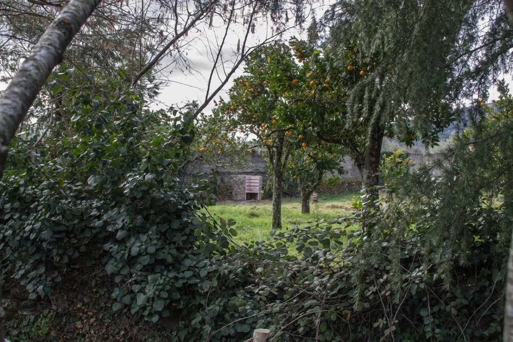 Casa Rural La Flor del Naranjo