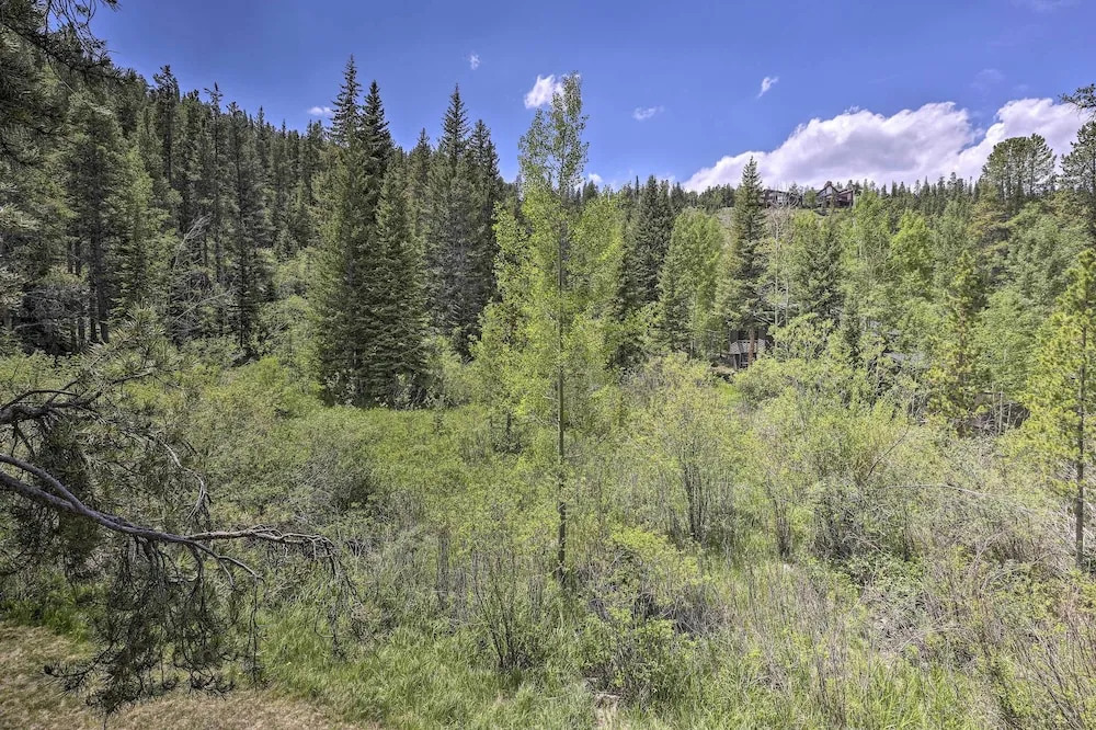 Sauna, Deck & Fire Pit: Breckenridge Townhouse!