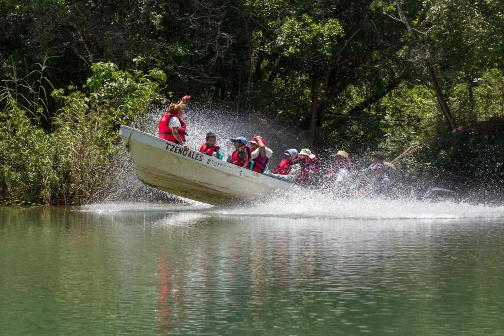 Las Guacamayas Lodge, Selva Lacandona, Chiapas México