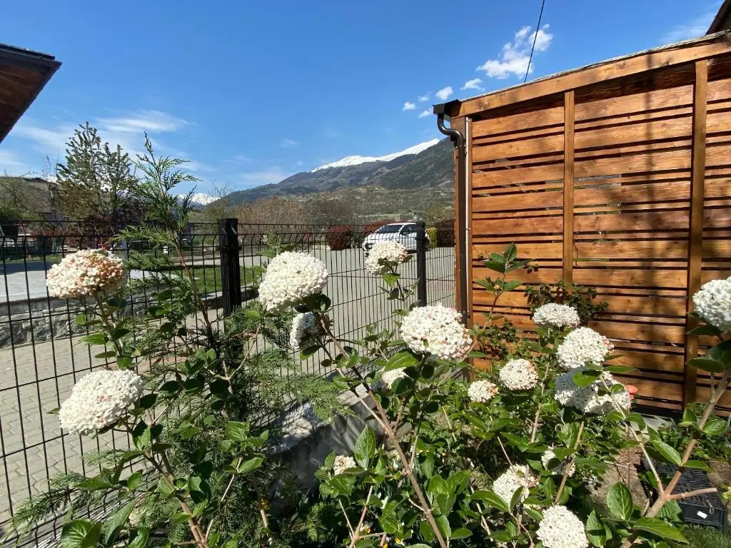 La Mucca Pelosa B&B