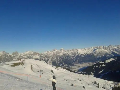 Wiesingbauer