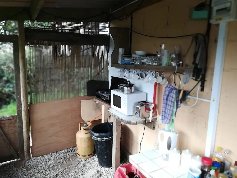 Buzzard Yurt