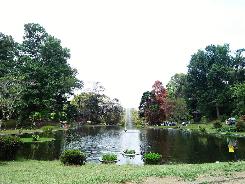 The View Villa