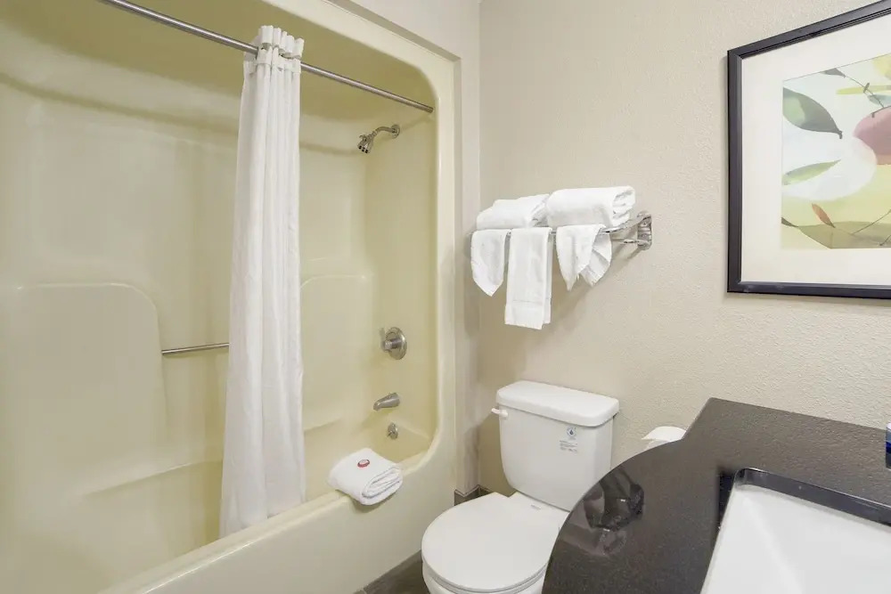 Econo Lodge Inn & Suites Fort Jackson area