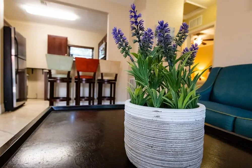 The Lauderdale Boutique Hotel