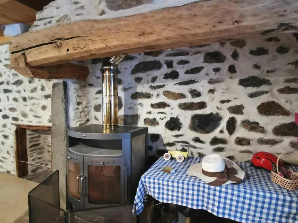 Charmante maison dans les gorges de la Loire avec terrasses et poêle à bois - FR-1-582-319