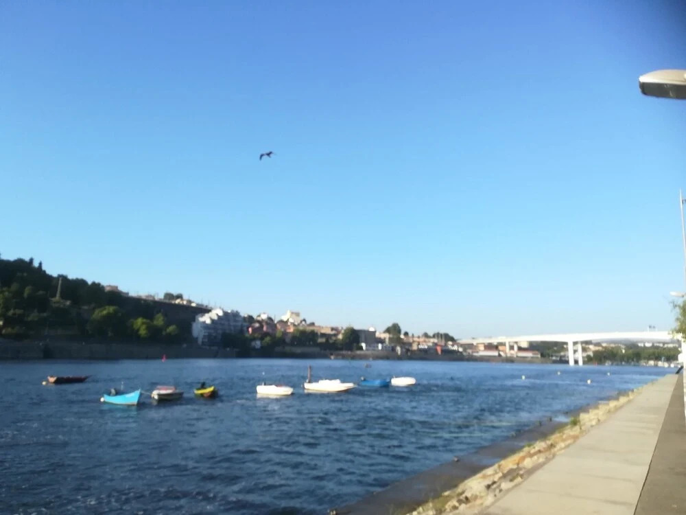 Apartment With 2 Bedrooms in Vila Nova de Gaia, With Wonderful City Vi