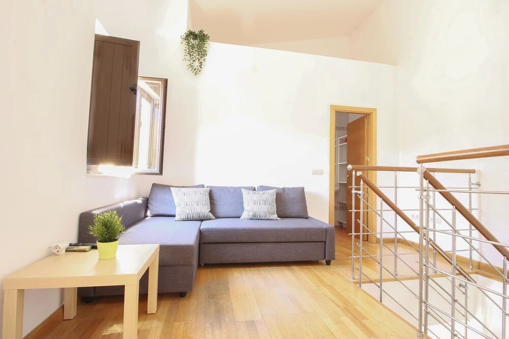 Deluxe Apartment Parras