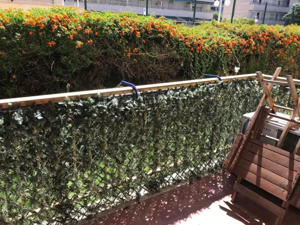 Planta Baja Reformada - 152b
