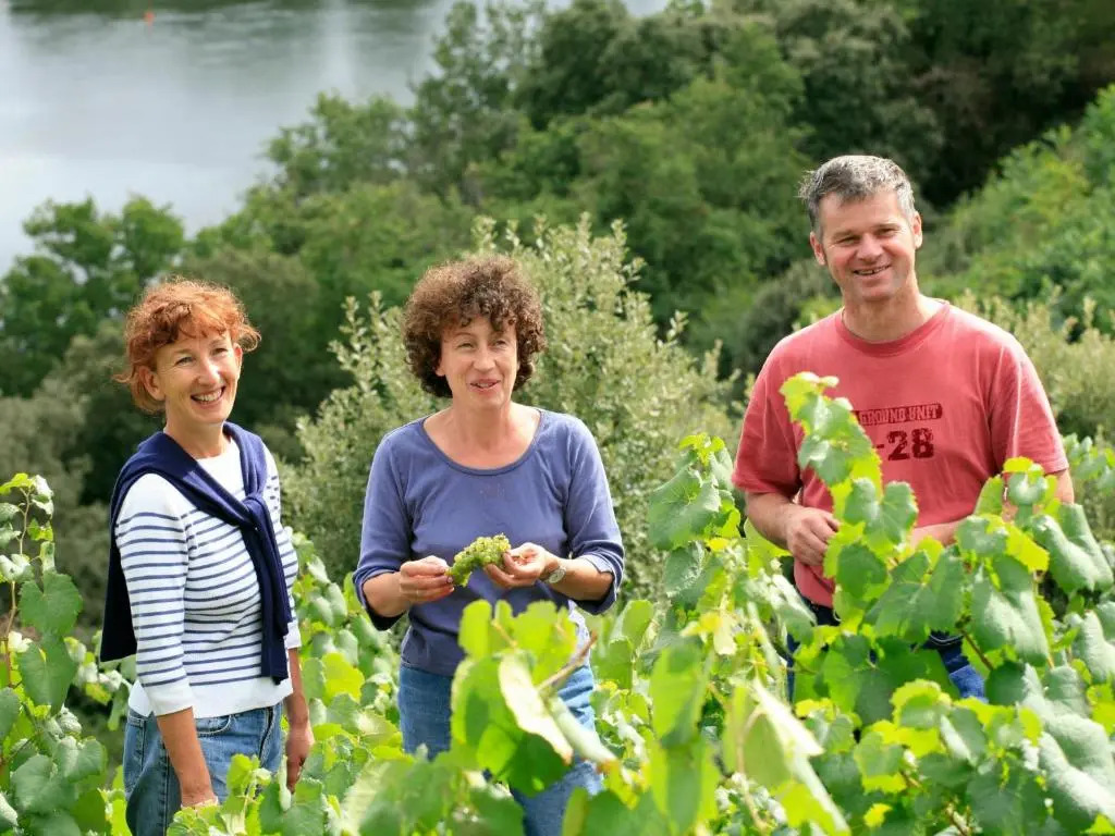 Maison de vignerons avec jardin, Wifi, animaux acceptés - FR-1-306-891