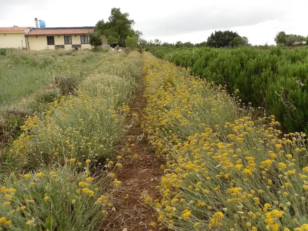 B&B Fragus e Saboris de Sardigna