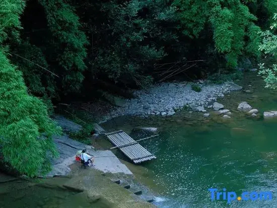Qingcheng Mountain Yujian Forest Private Soup Homestay