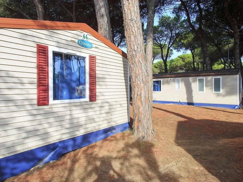 Tidy Chalet in Pine Forest near Adriatic Sea