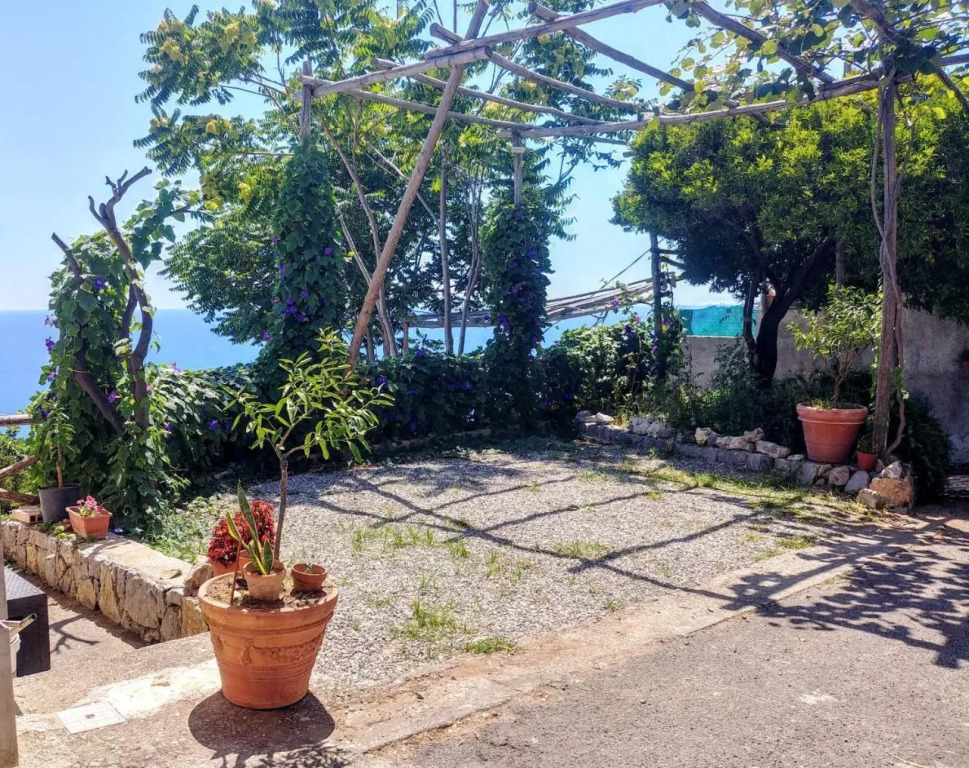 Il Limoneto