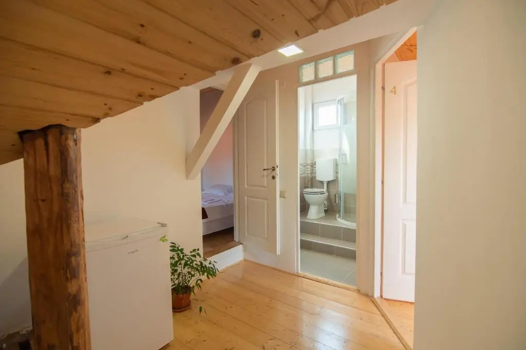 Bed&Wood in Center of Oradea 1