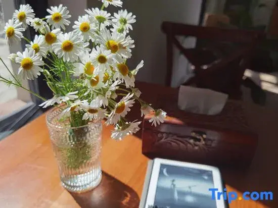 Tekesi Tara Homestay