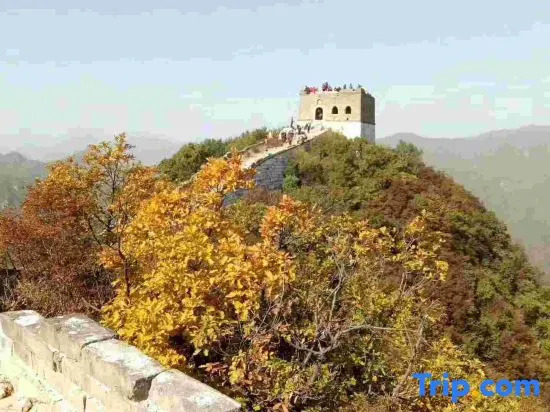 Jiankou Great Wall Haiyan Farmstay