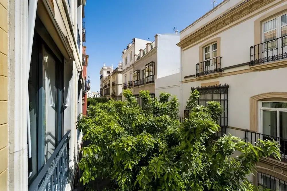 Genteel Home Vinuesa II