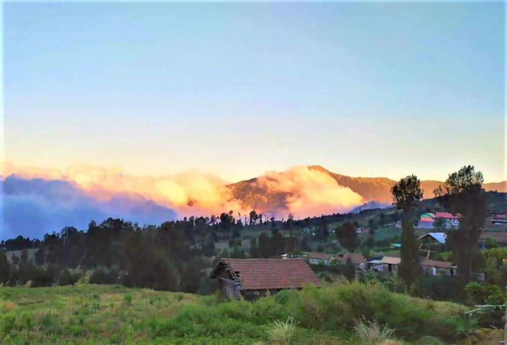 Rahayu Jawarika Bromo Hotel