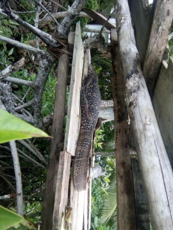 Bentota Orchid House