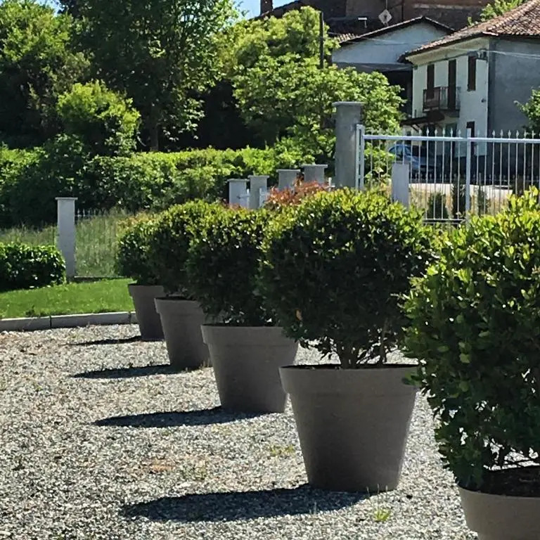 Domaine Isaure