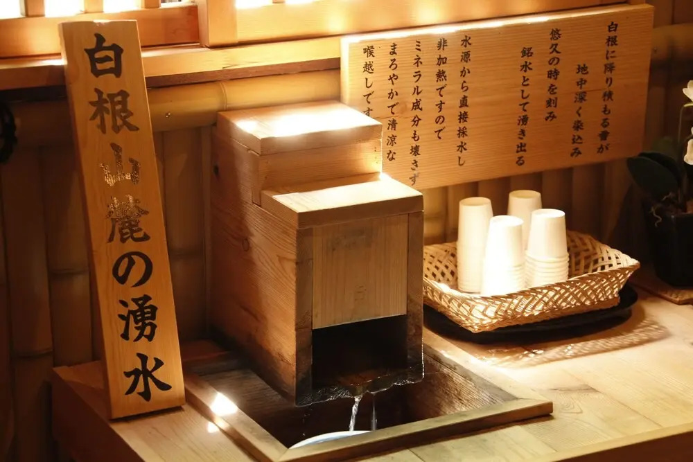 Kusatsu Onsen Yugomonorinosato Ryokufutei