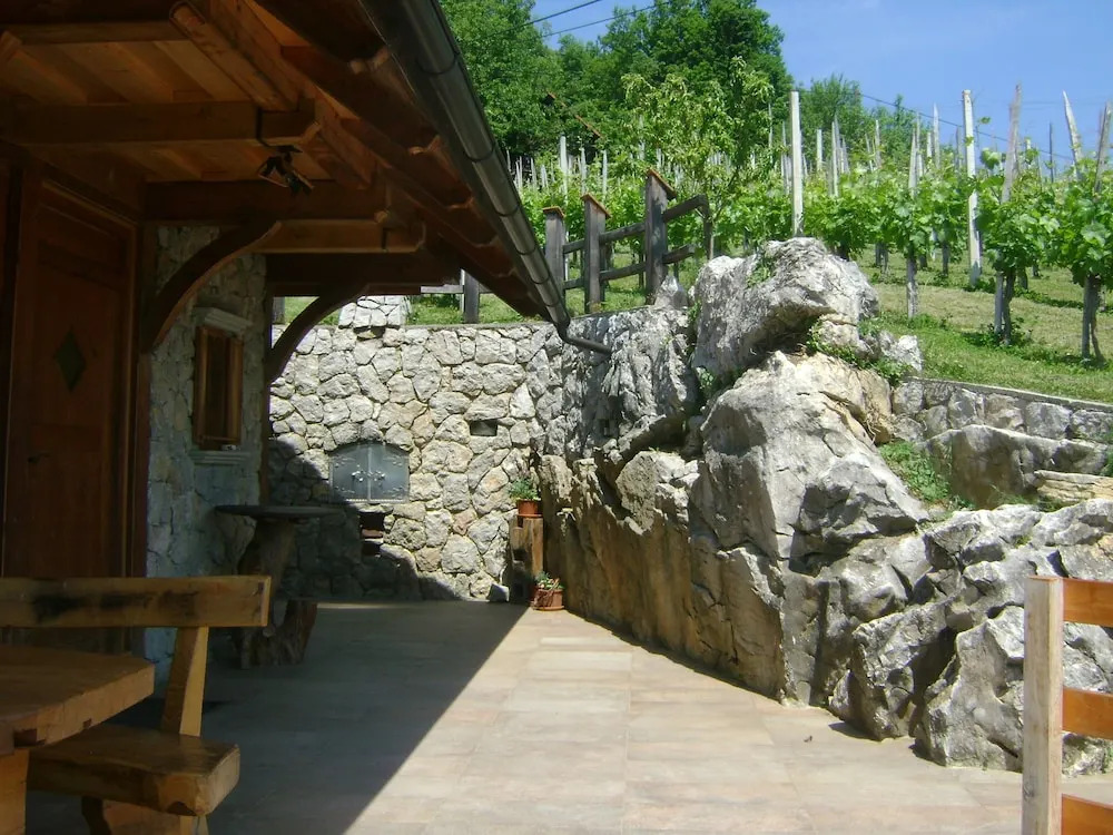 Vineyard cottage Med vinogradi