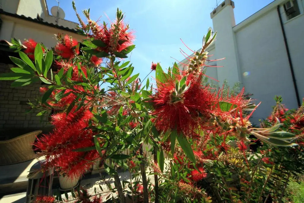 Apartments Borghese