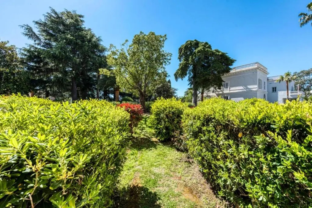 Résidence Cannes Villa Francia - maeva Home - Studio 4 Personnes - Sélection 33