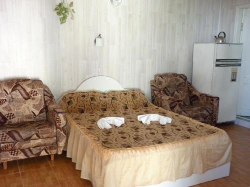 Оазис