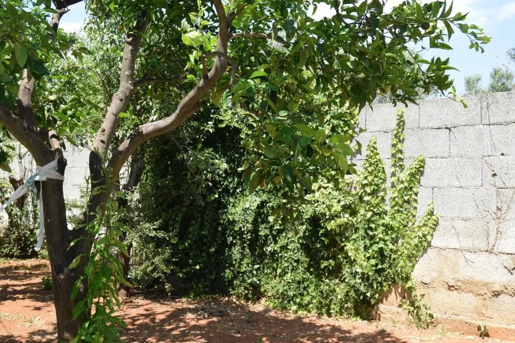 santa potenza