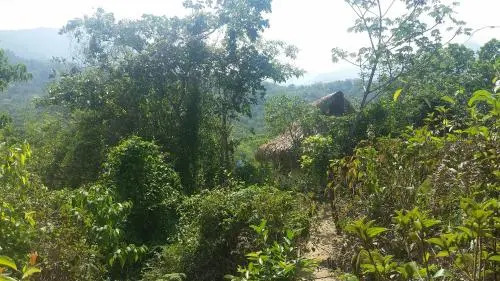 Minca Glamping