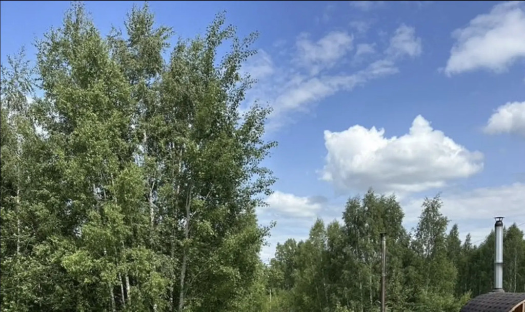 Глэмпинг в Казани в черте города с видом на лес