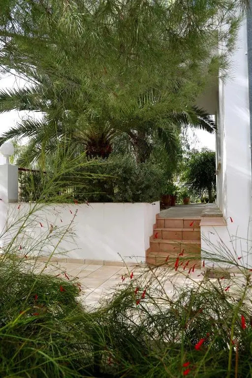 Sunny Garden Studio
